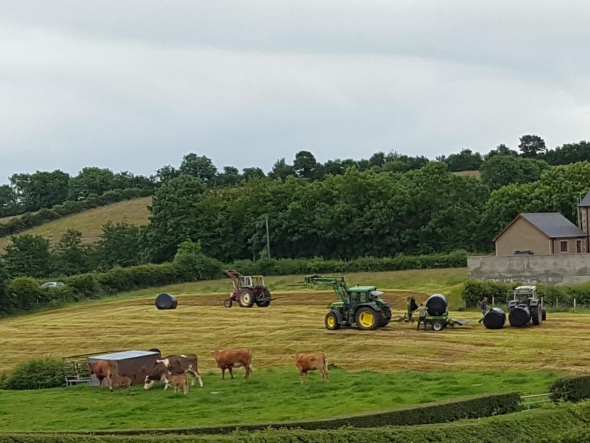 Holly Cottage Mayobridge ニューリー エクステリア 写真