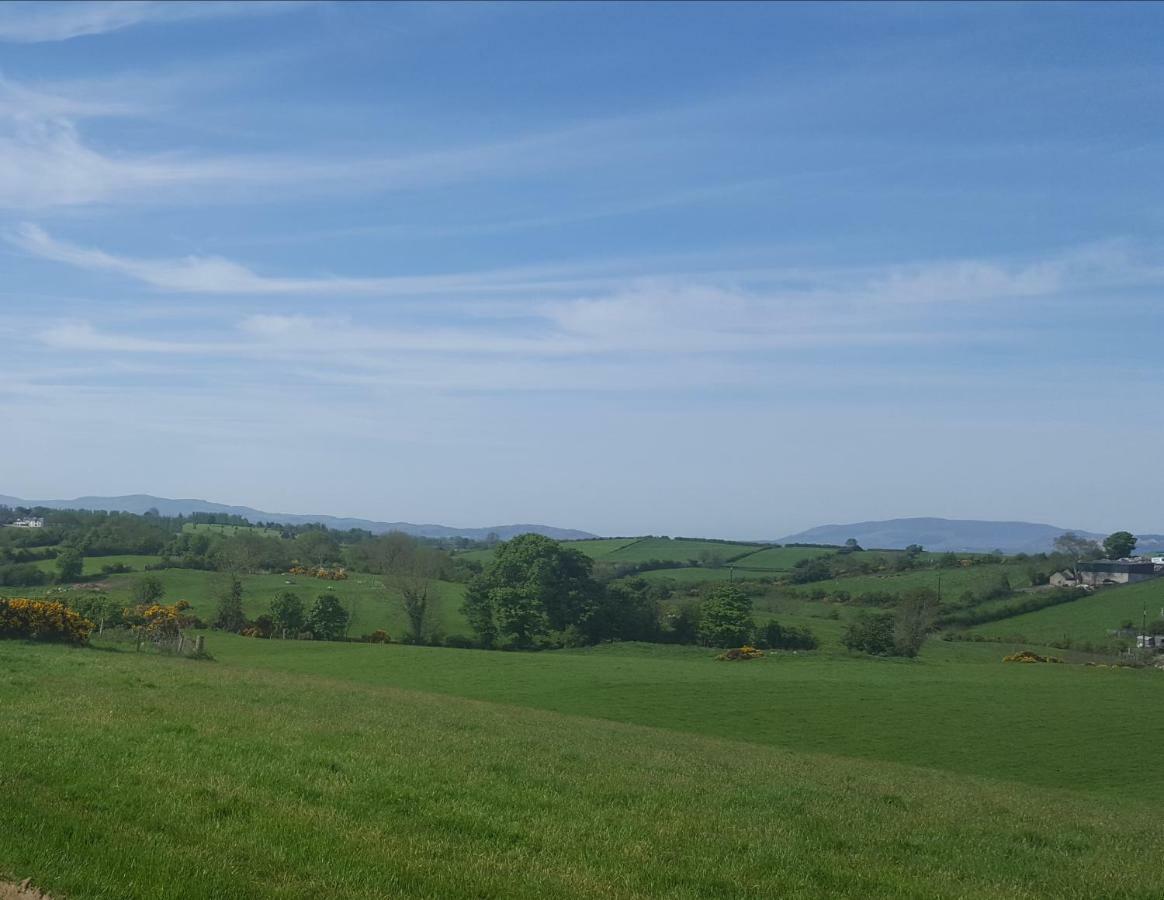 Holly Cottage Mayobridge ニューリー エクステリア 写真