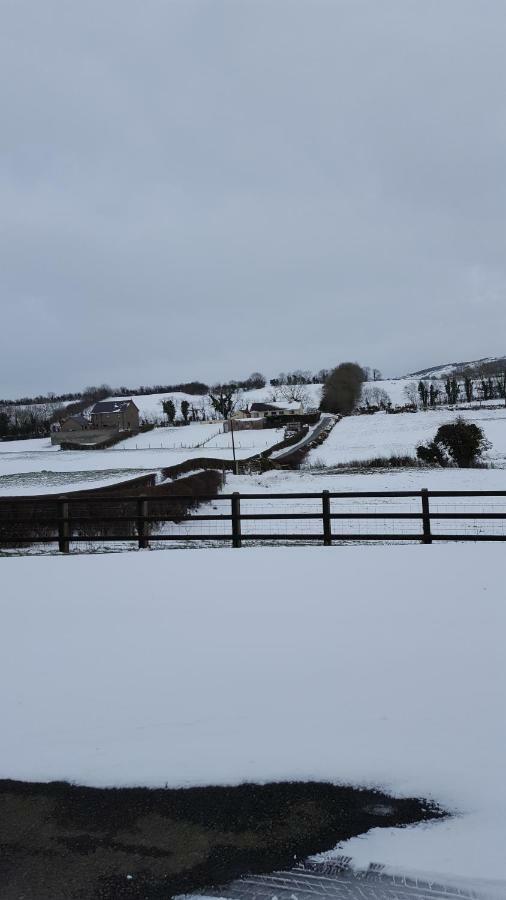 Holly Cottage Mayobridge ニューリー エクステリア 写真
