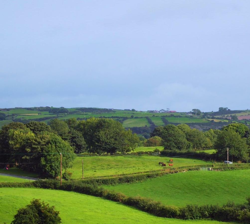 Holly Cottage Mayobridge ニューリー エクステリア 写真